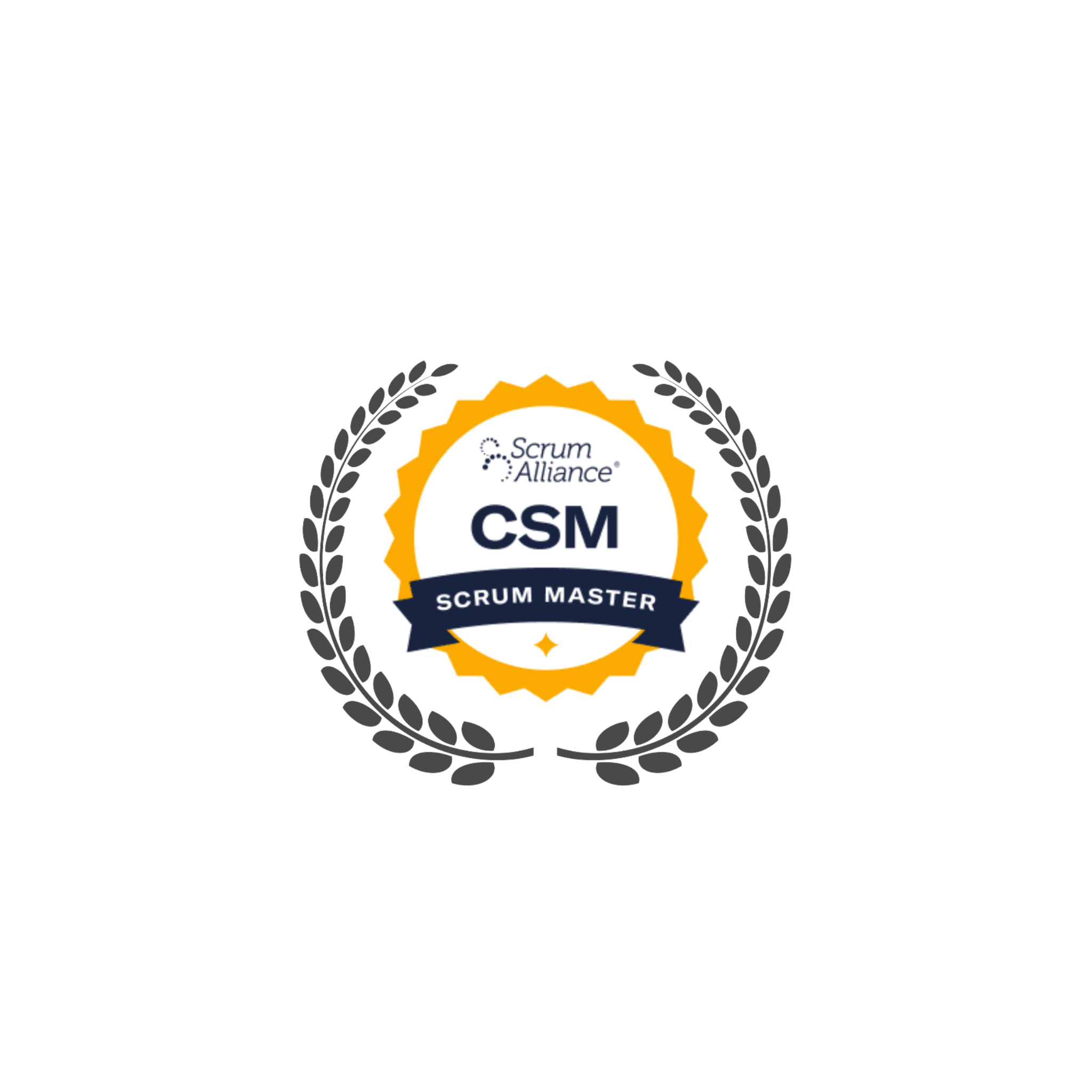 CSM